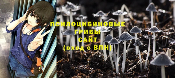 мет Касимов