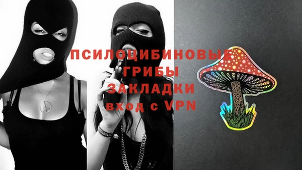 первитин Карпинск