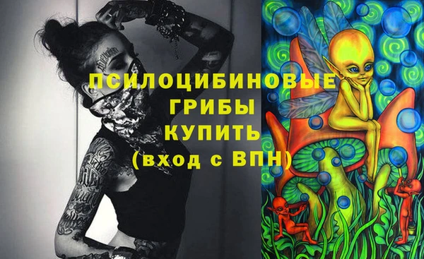 дживик Карталы